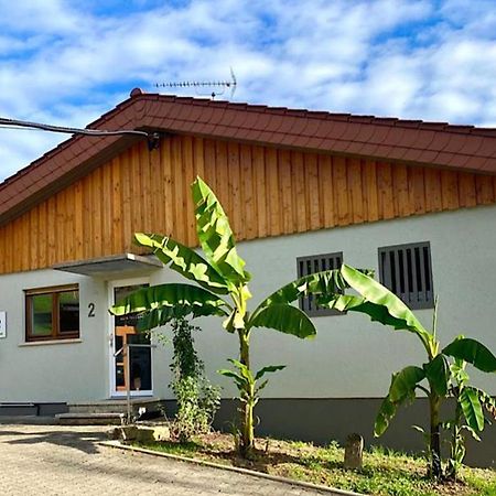 Pension Am Hohberghof Dielheim 外观 照片