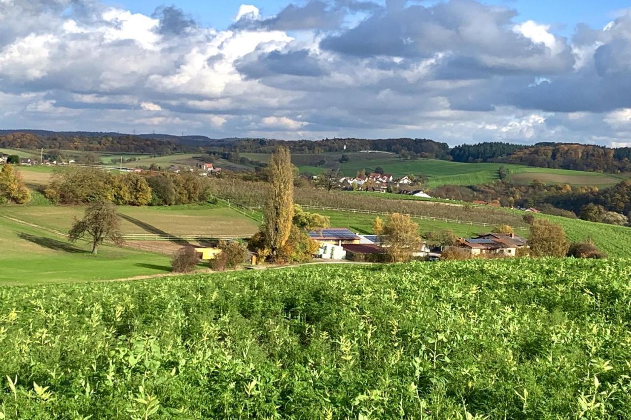 Pension Am Hohberghof Dielheim 外观 照片