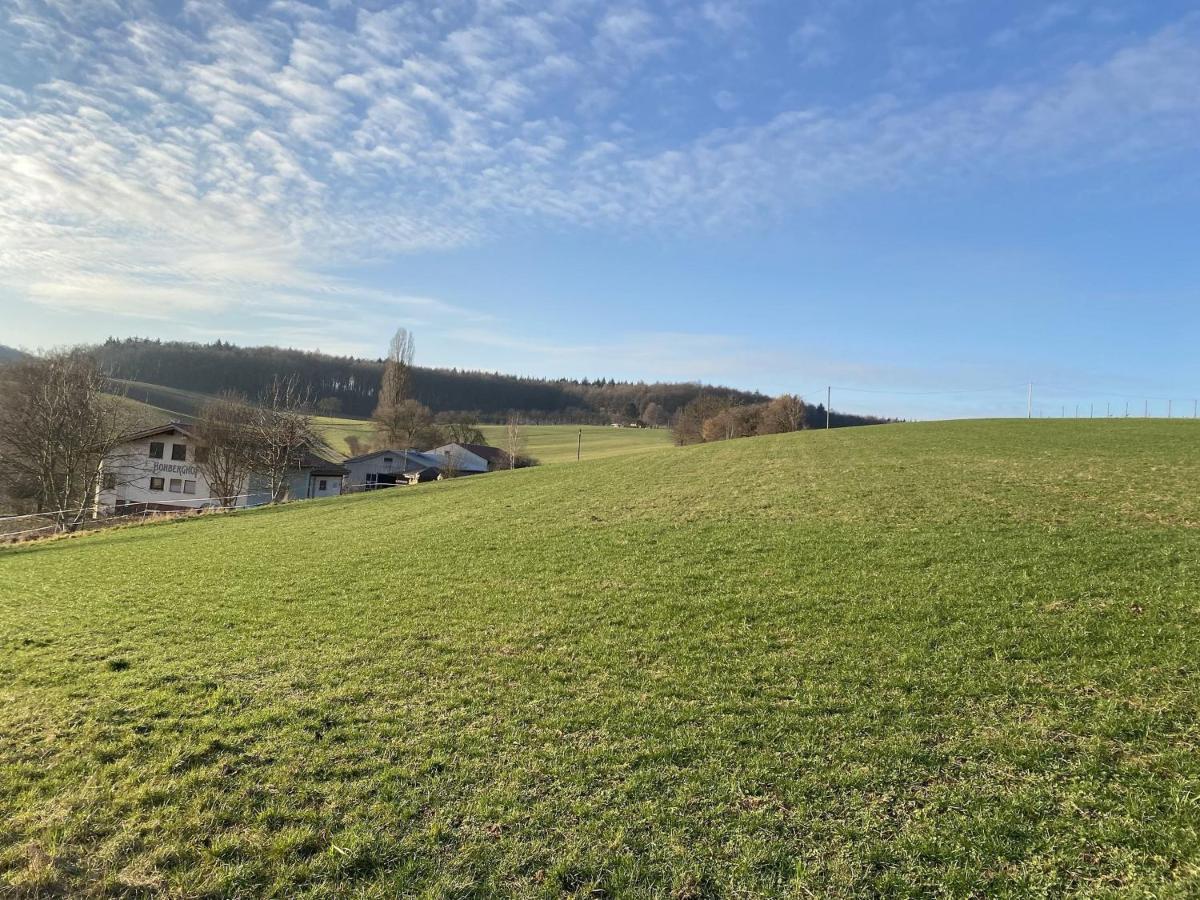 Pension Am Hohberghof Dielheim 外观 照片